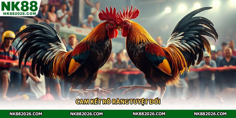 Cam kết rõ ràng tuyệt đối