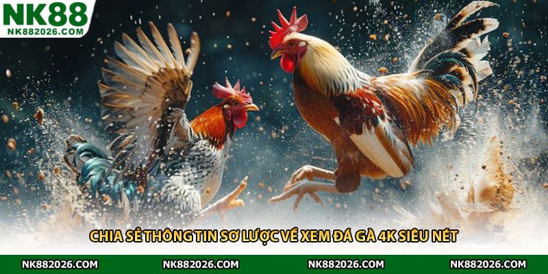 Chia sẻ thông tin sơ lược về xem đá gà 4K siêu nét