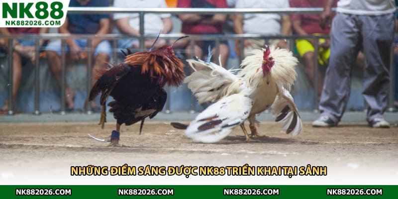 Những điểm sáng được NK88 triển khai tại sảnh