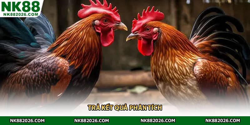 Trả kết quả phân tích