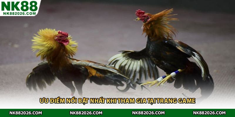 Ưu điểm nổi bật nhất khi tham gia tại trang game
